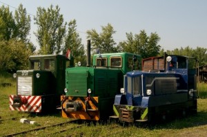 18343-borzsony-kisvasut-programok-2013